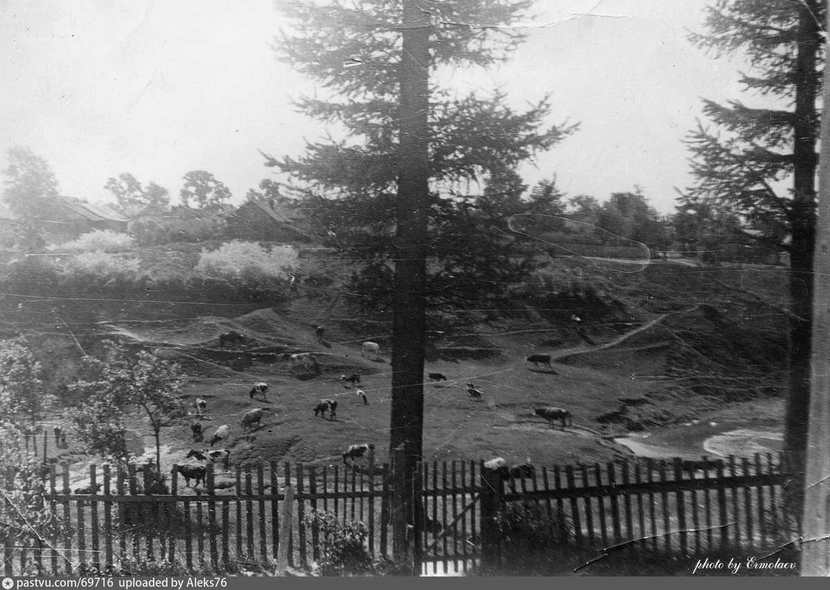 Фото из открытых источников 