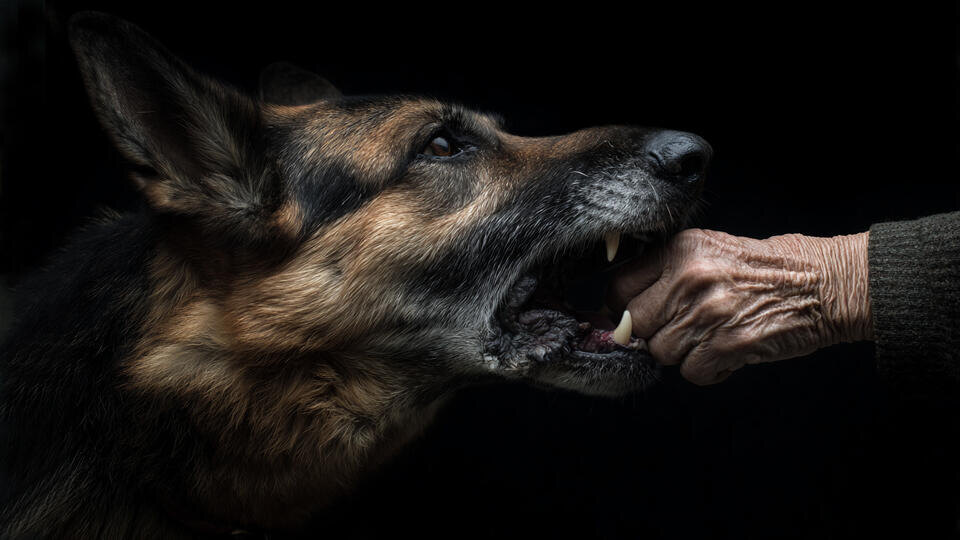 Фото: © РЕН ТВ