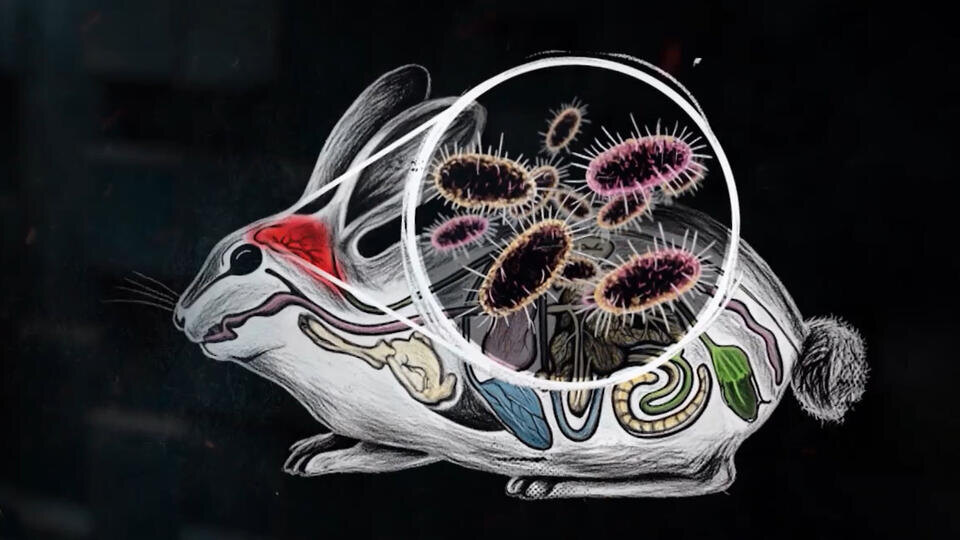 Фото: © Кадр из программы "Момент в истории", РЕН ТВ