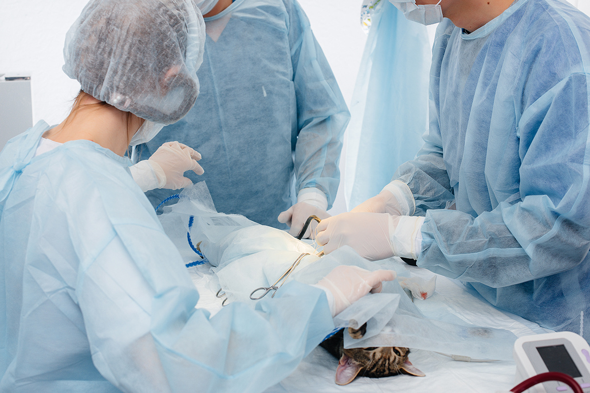 Andrii Medvednikov / Shutterstock / FOTODOM📷Операция по удалению матки и яичников занимает не более 30 минут