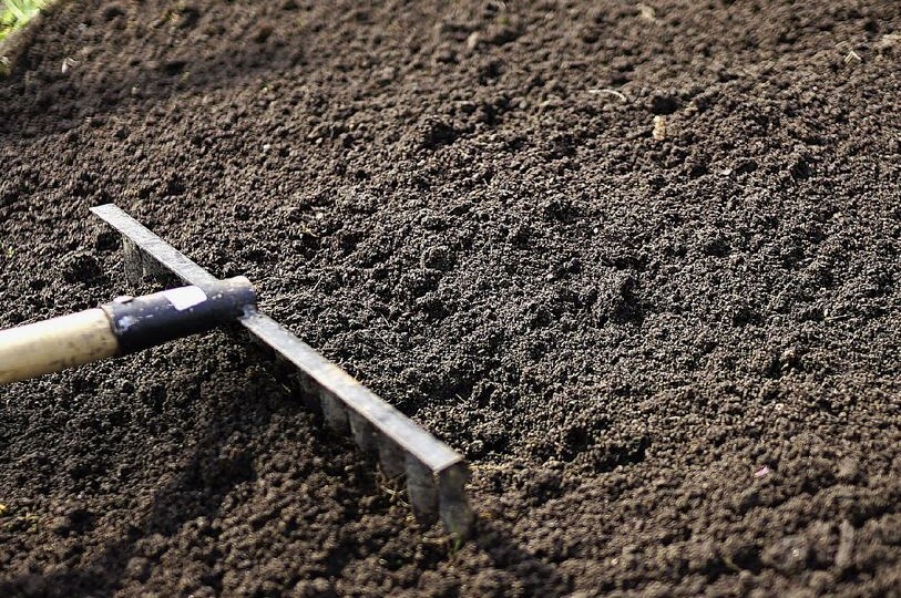 Как улучшить почву после уборки урожая: 5 эффективных методов