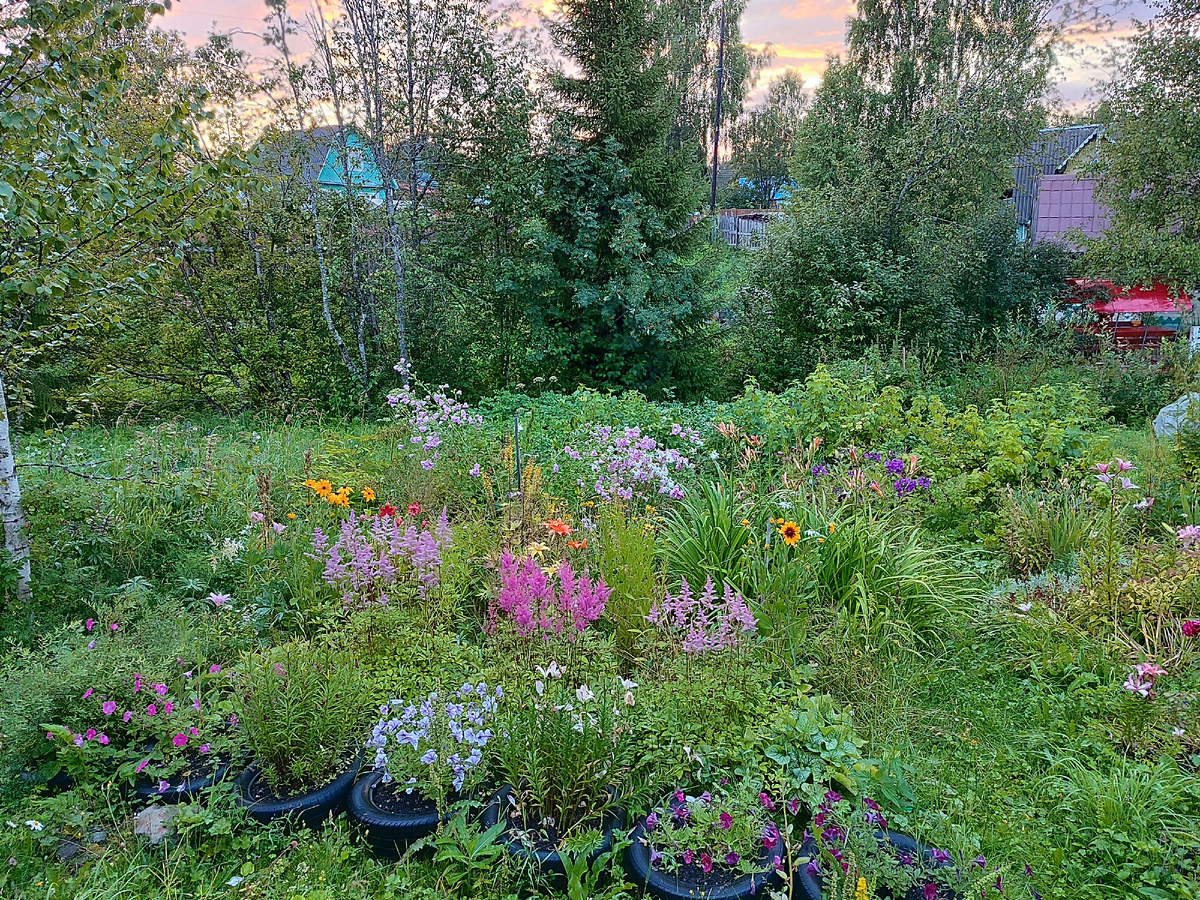 Скоро осень и дождь в окно стучится.. 