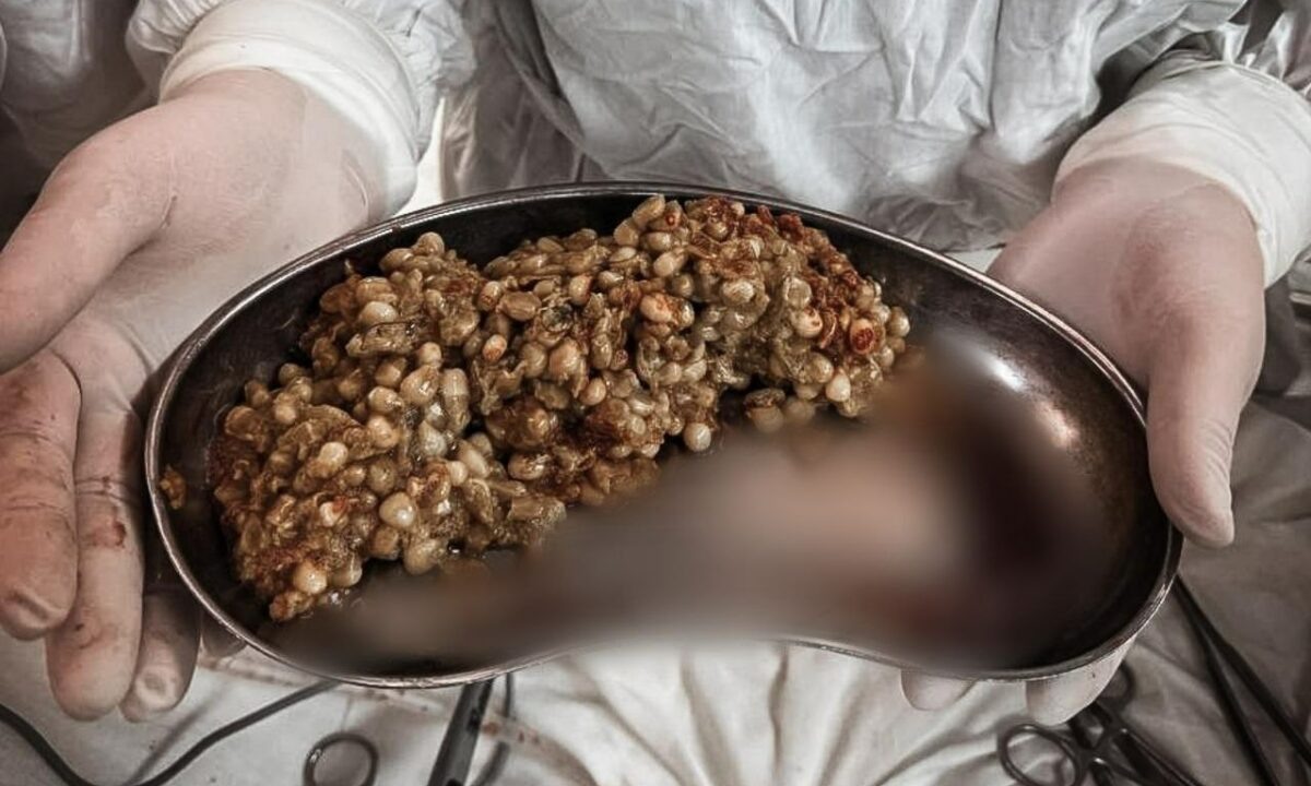    Фото t.me/dr_kuznecov