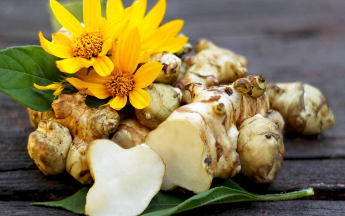    Липецкий «ИстАгро Дон» начинает экспорт топинамбура в Китай Фото с сайта компании «ИстАгро Дон»