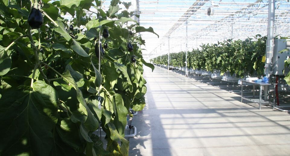    Медиасток.рф