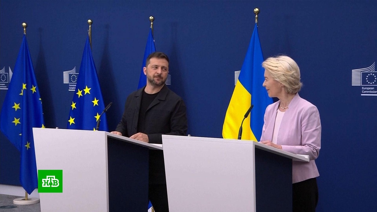    «Мы дадим ему советы»: почему Зеленского в США сопровождают лидеры стран ЕС