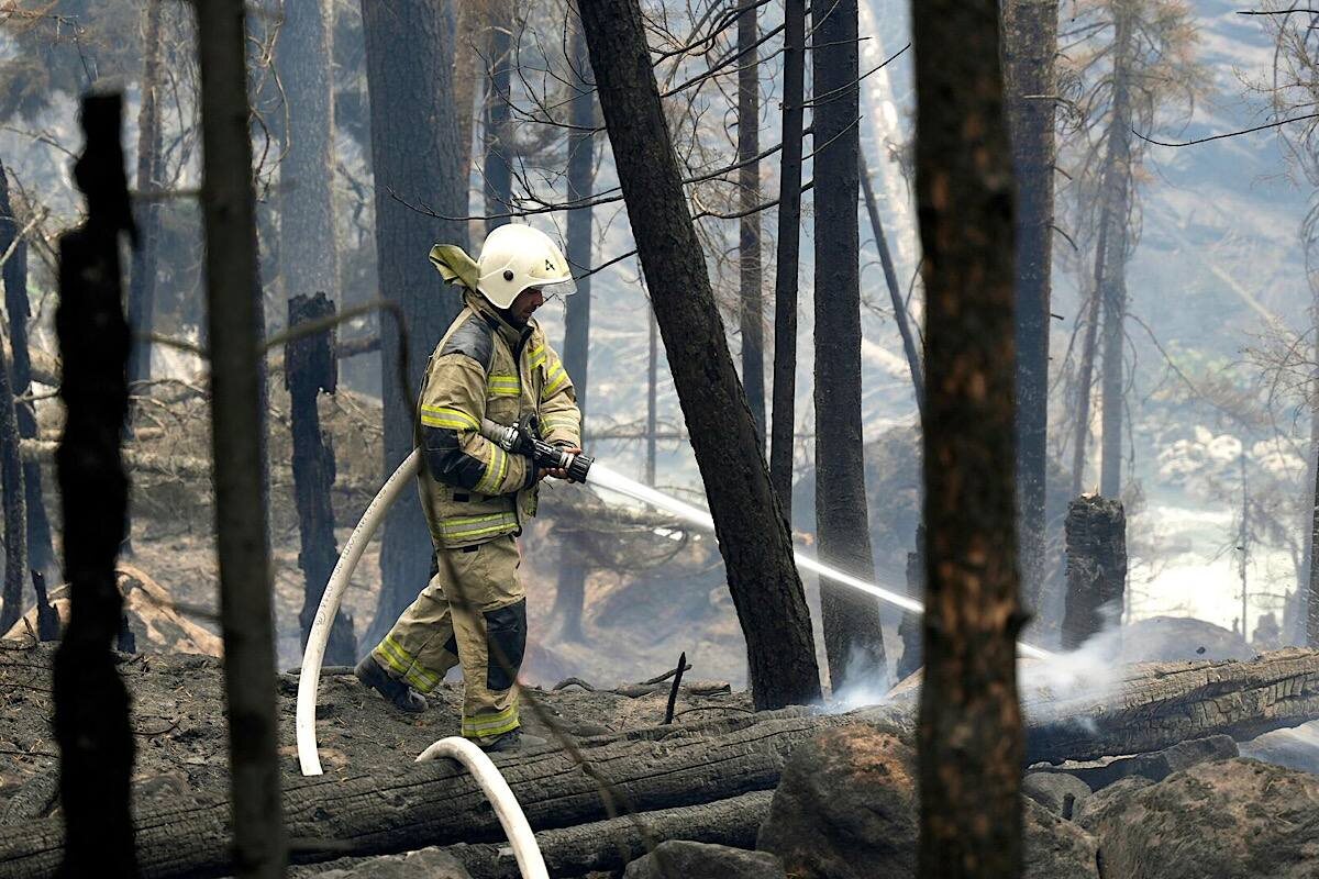    Фото: Денис Абрамов, источник: РИА Новости