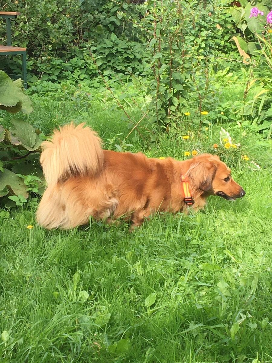 Алиса очень рада, что приехала в гости! Фото автора