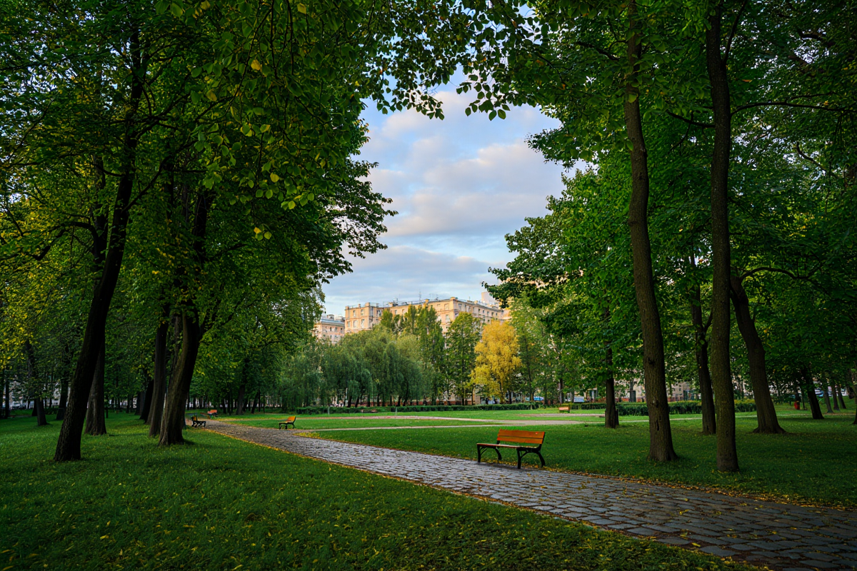    Фото: сгенерировано ИИ, источник: reve.art