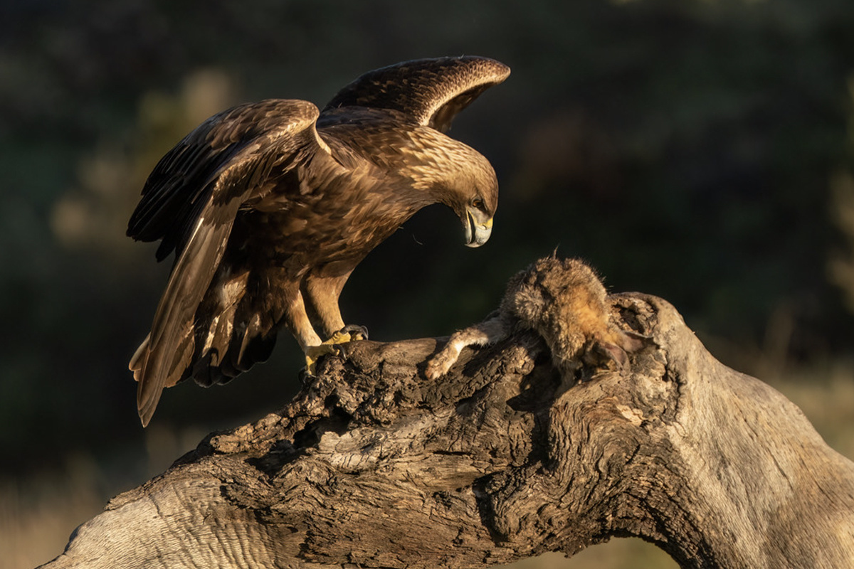 Фото: Gary Faulkner