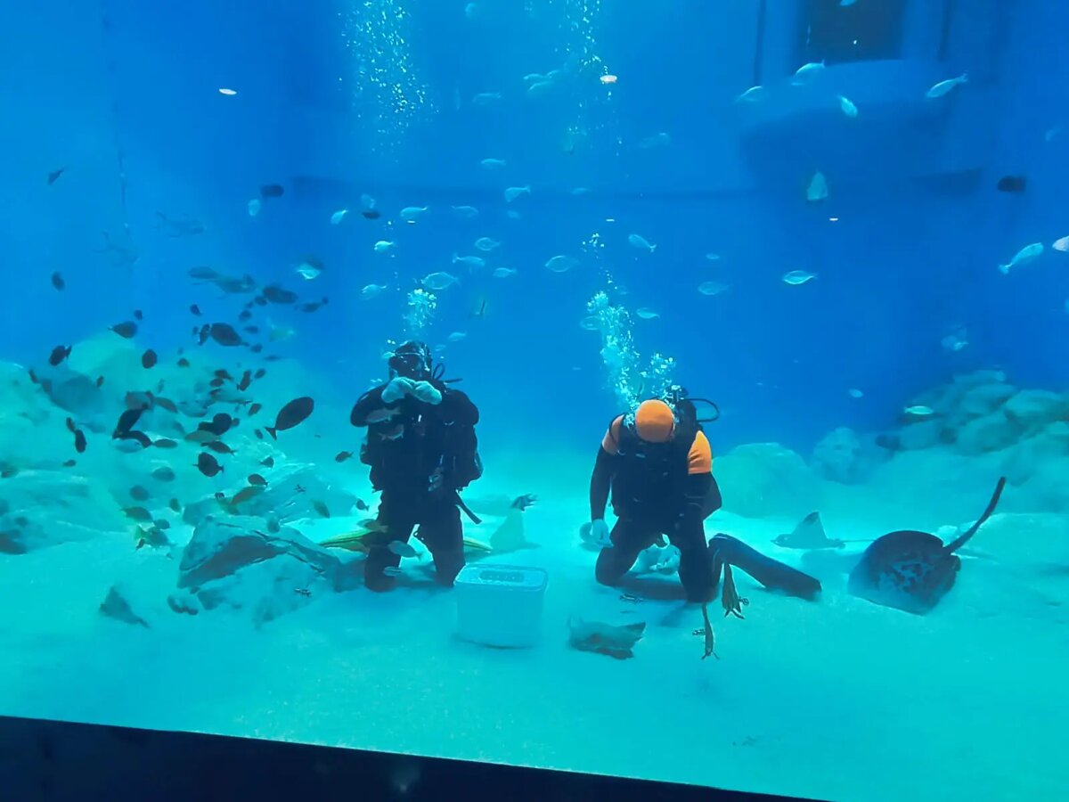  Общая площадь нового корпуса музея составляет более 9 тыс. кв. м   © "Интерфакс". Олег Шанько