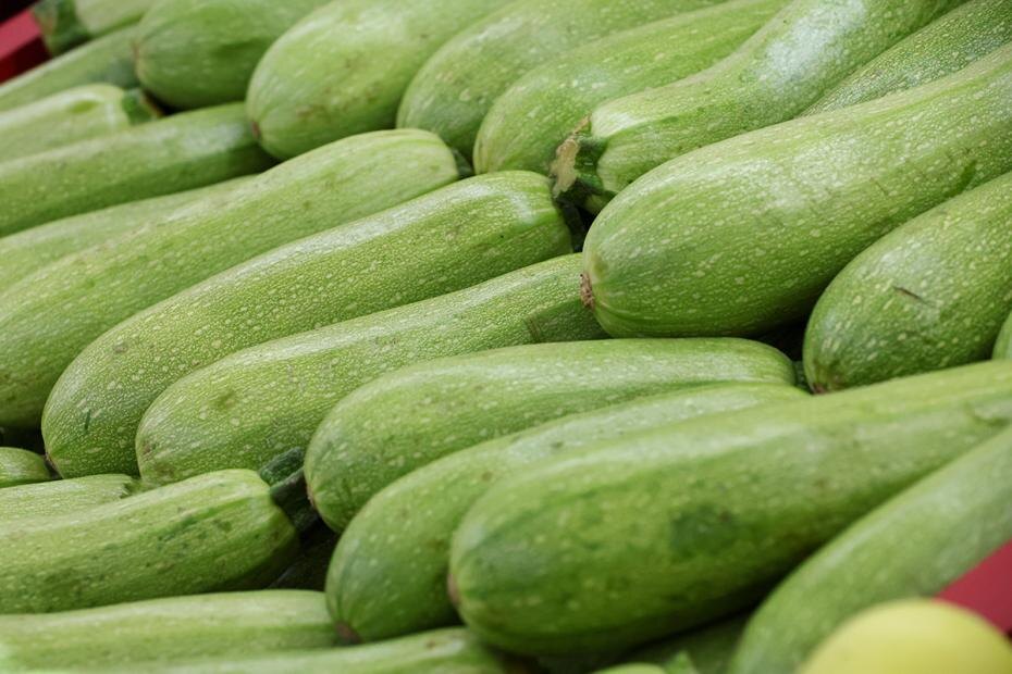    Алексей Белкин/NEWS.ru