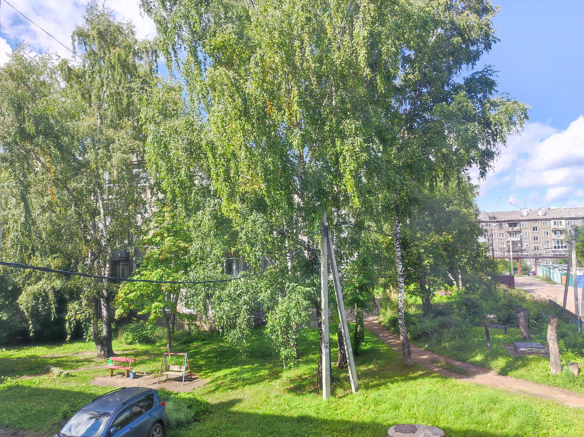 Моё утро фото автора.