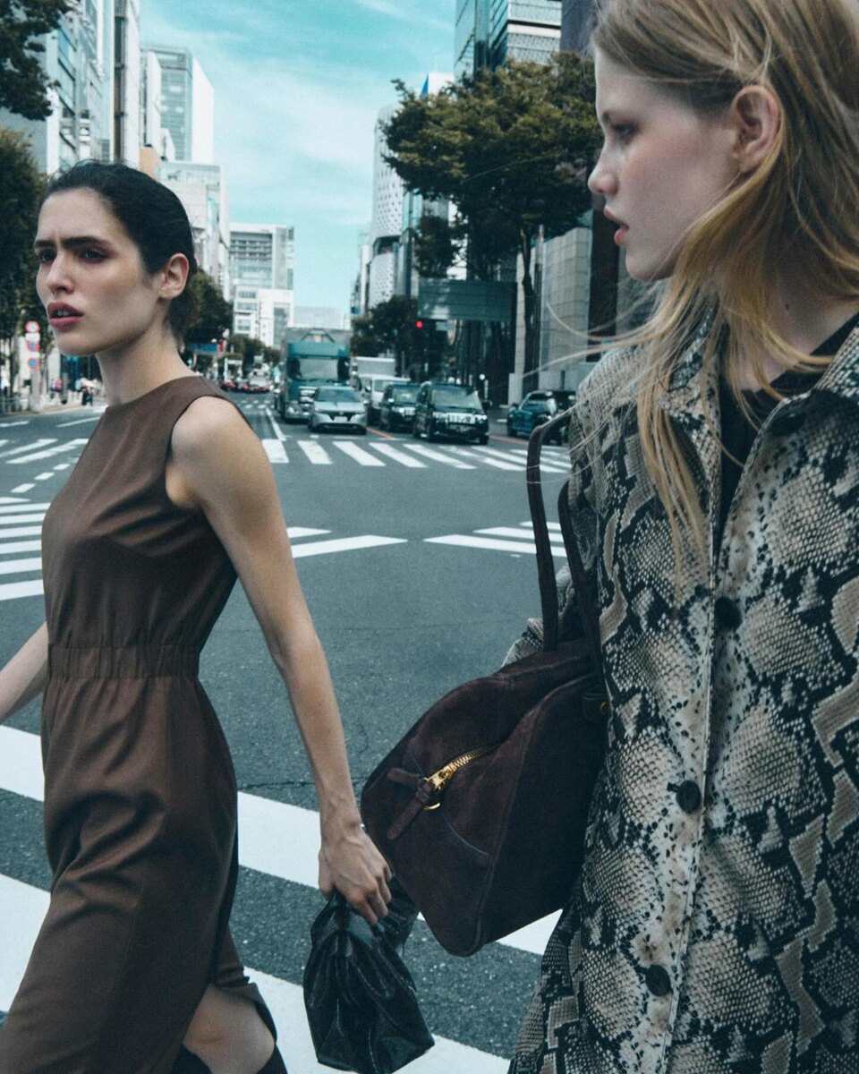    новая коллекция лайм 2025