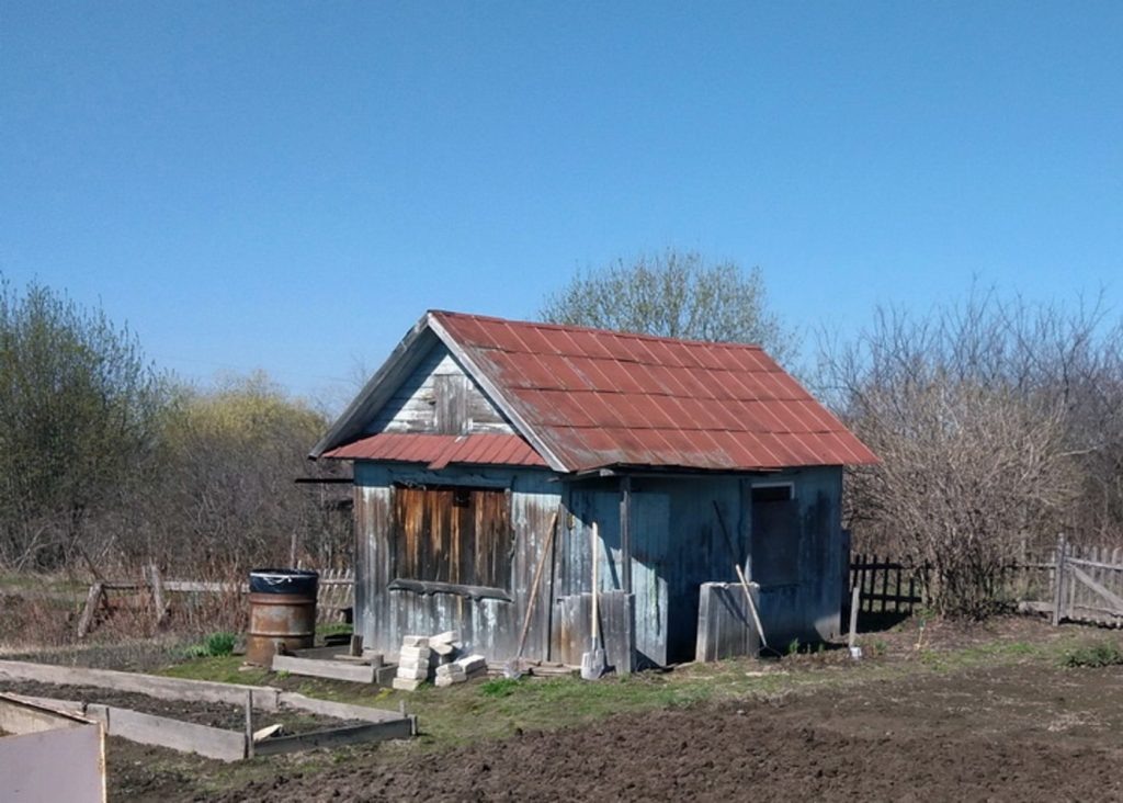    Анастасия Петрова