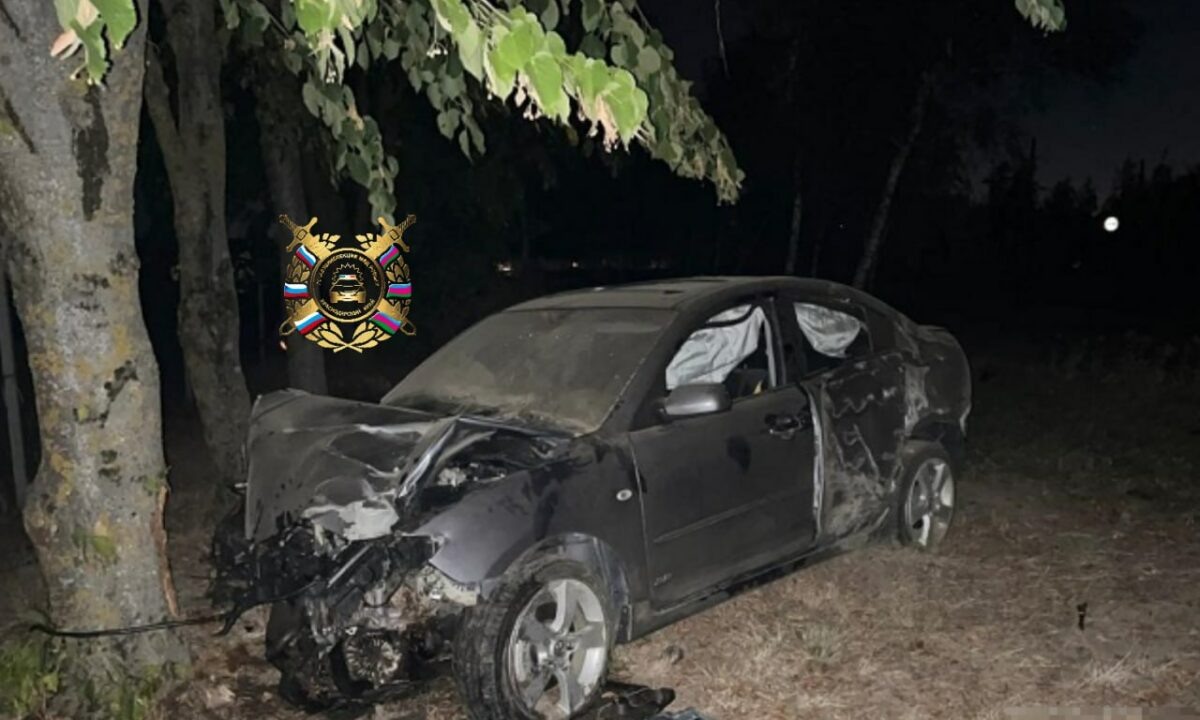    Фото t.me/gibdd123region