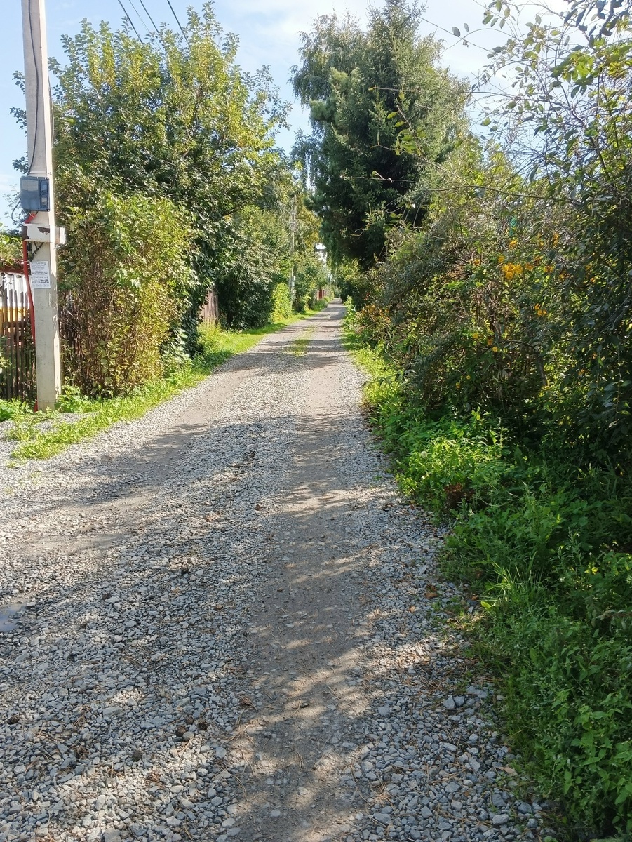 Аллея образца 16.08.2025