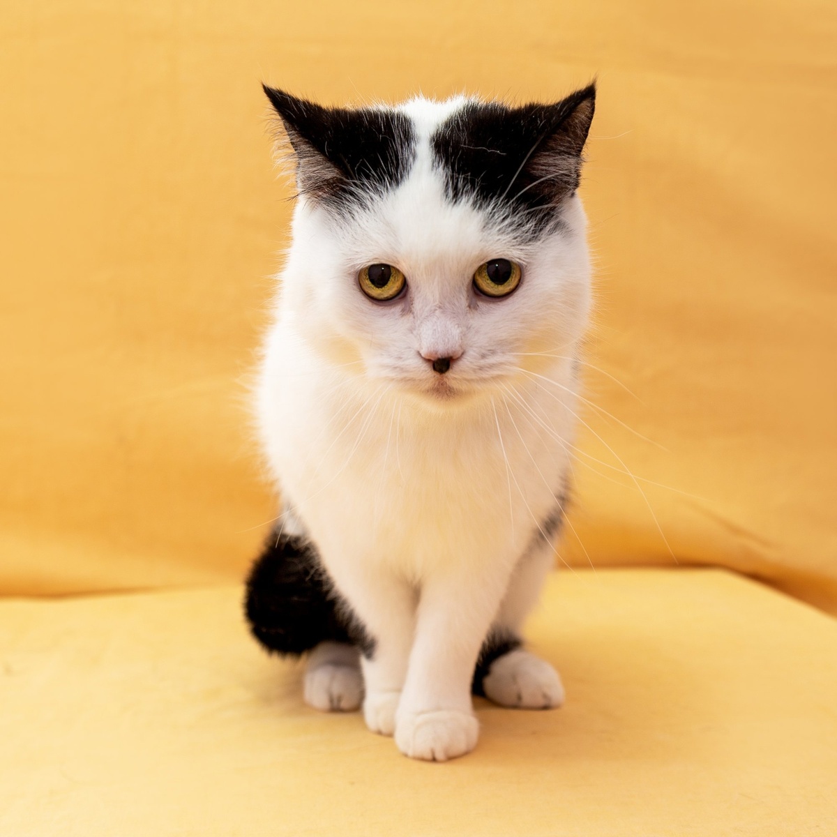 Наверное, это была первая фотосессия в её жизни