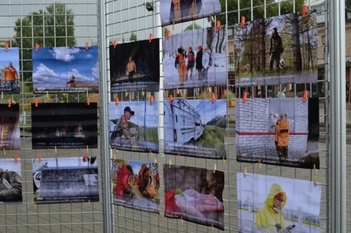    Главный инструмент — голова.