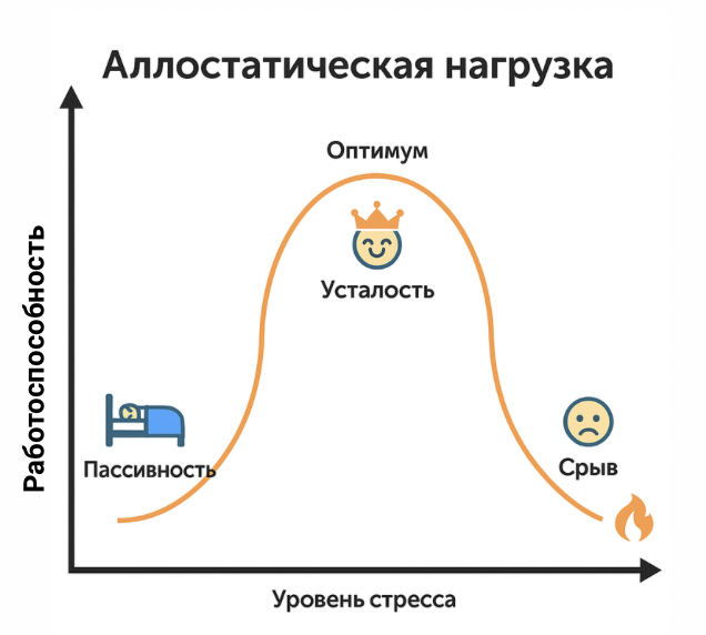 График - иллюстрация аллостатической нагрузки организма человека