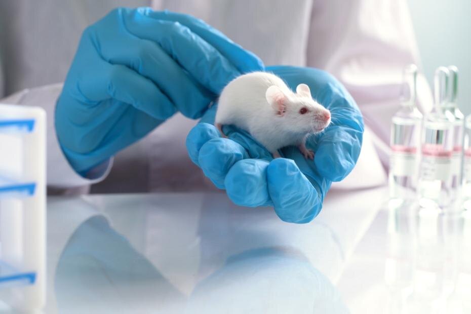    Shutterstock/FOTODOM