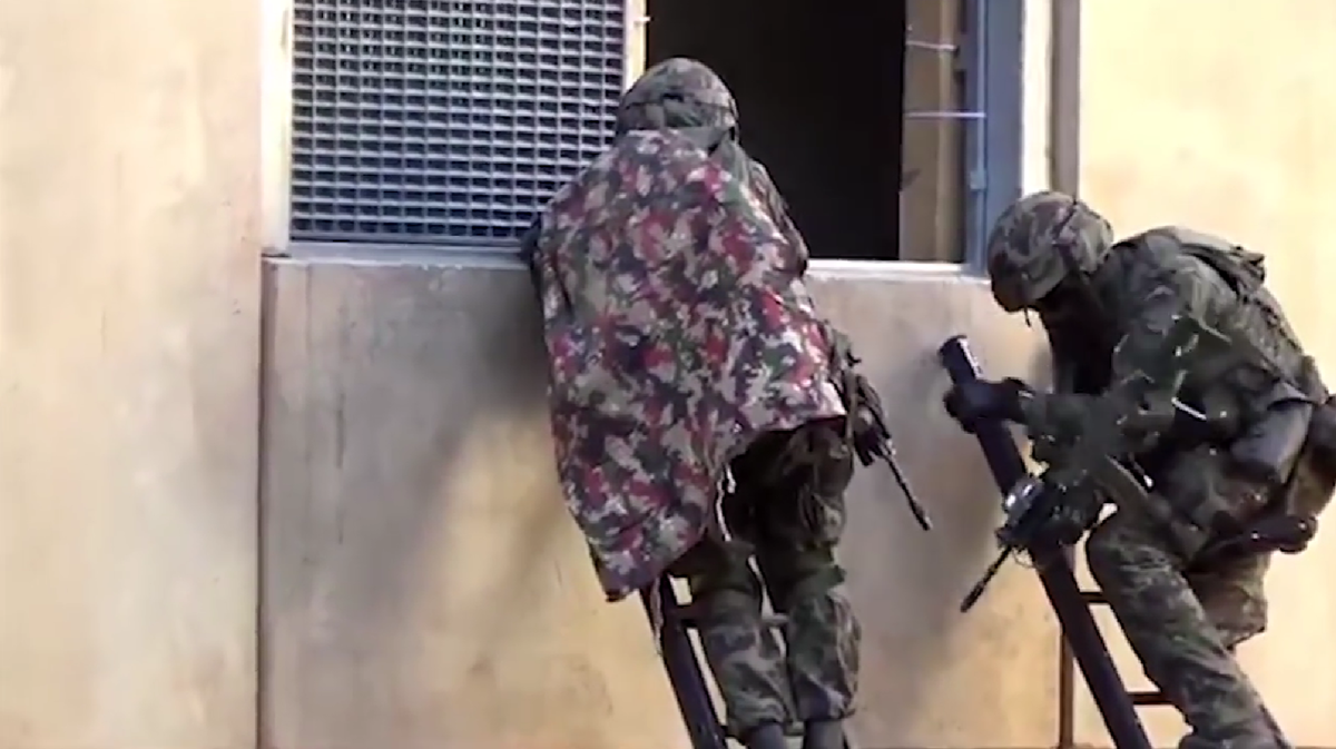 Швейцарская расцветка камуфляжа Taz 90 и её редкий вариант Taz 07 