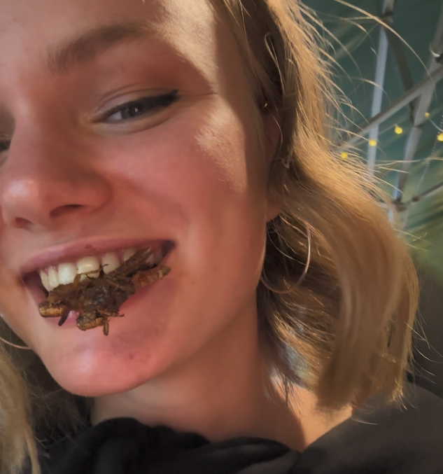 Вот они малыши кузнечики в моем рте