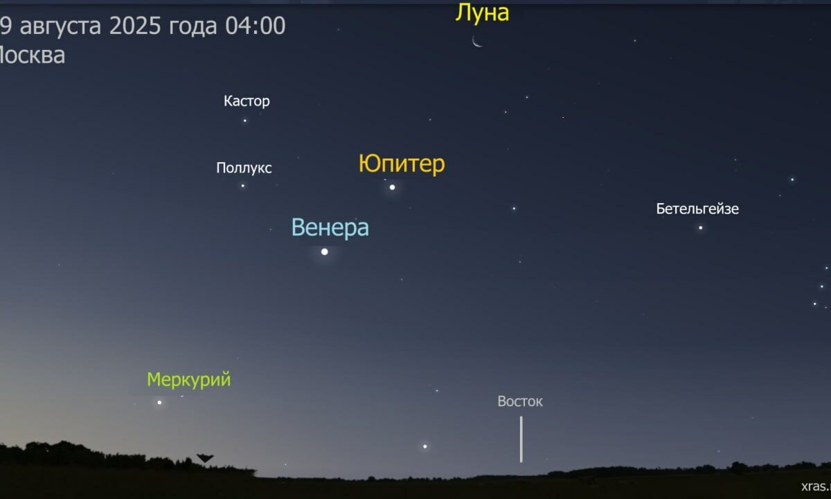    Фото t.me/lpixras