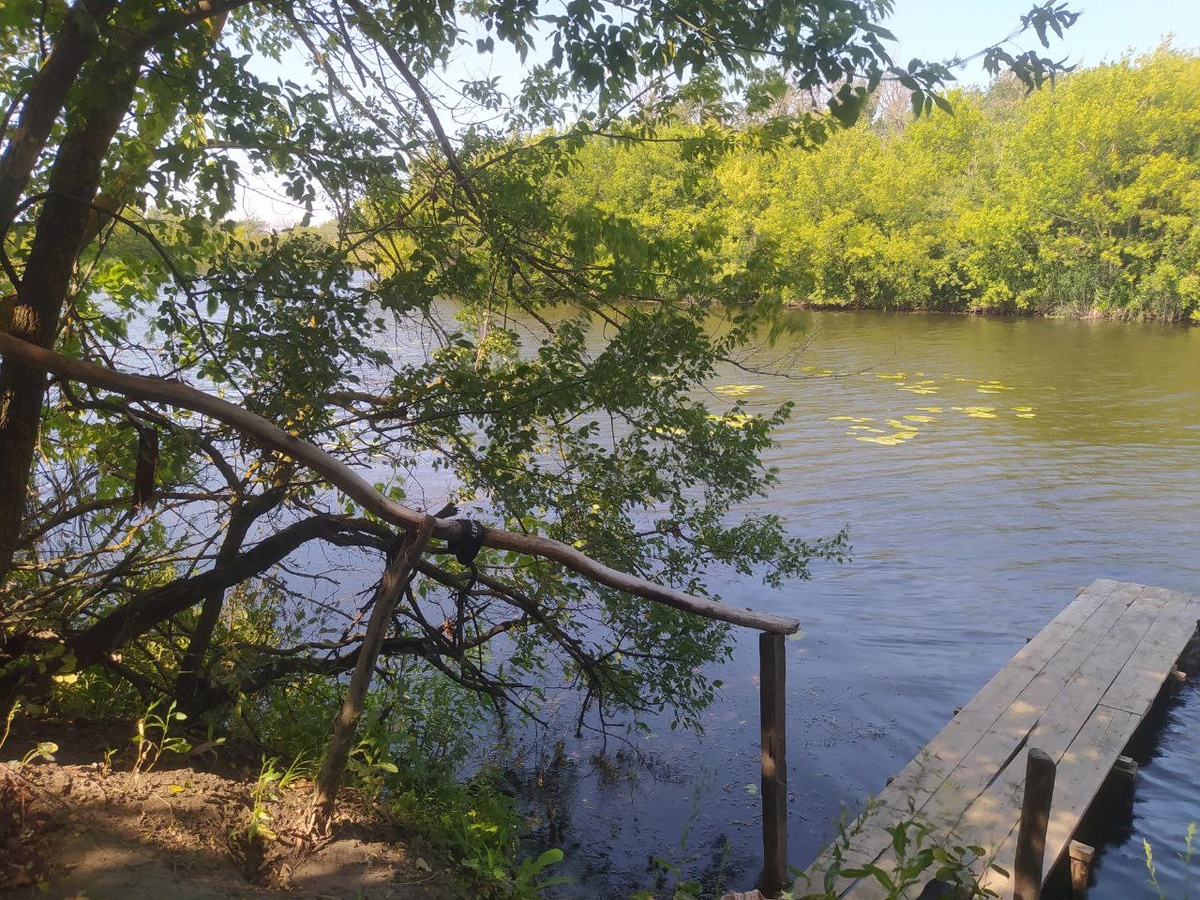 На речке. Фото автора