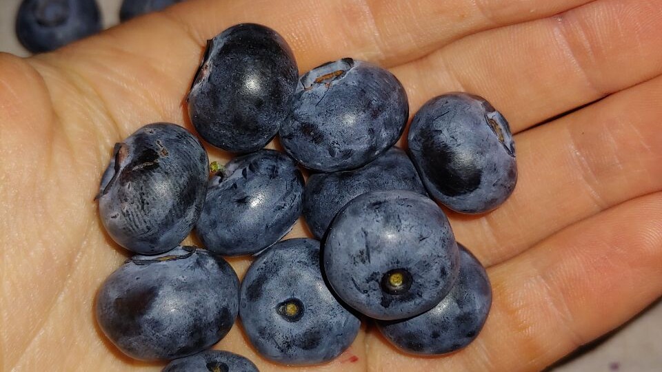 3 продукта, которые снижают риск почти всех видов рака и повышают уровень оксида азота в крови. Теперь они у меня всегда в рационе