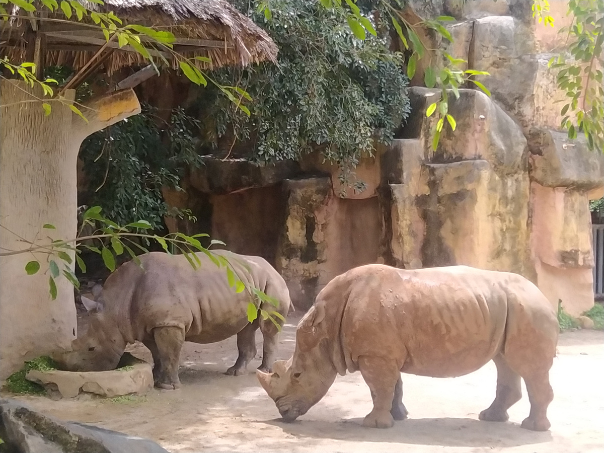 Зоопарк Винперл (Нячанг)