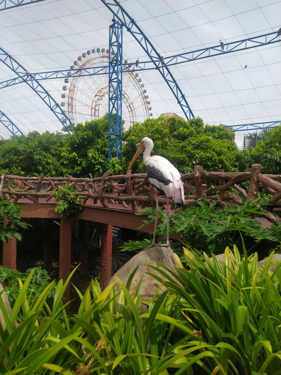 Зоопарк Винперл (Нячанг)