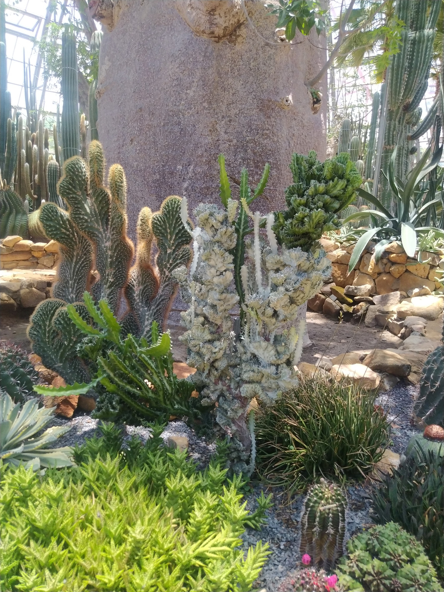 Ботнический сад Винперл (Нячанг)