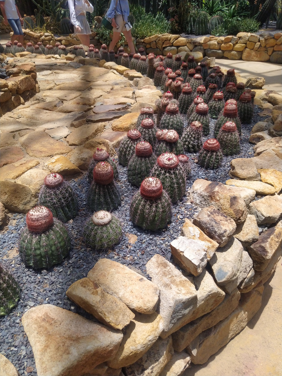 Ботнический сад Винперл (Нячанг)