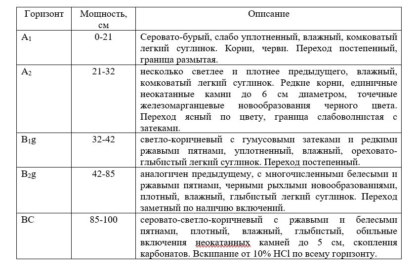 Почва: дерново-слабоподзолистая глееватая.