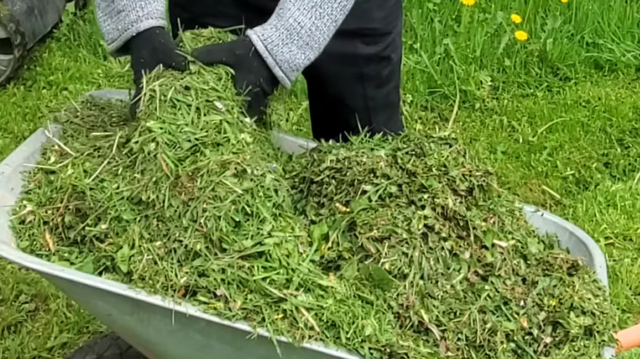 Скошенная трава создает идеальный микроклимат для корней