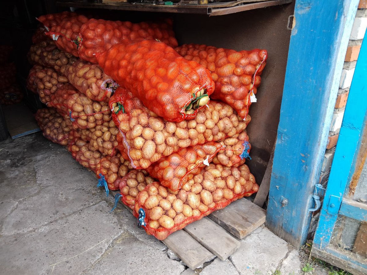 Цена за 1 кг картофеля -18 рублей 