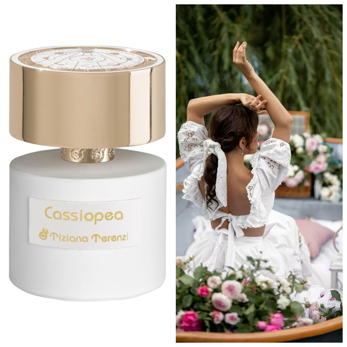 Cassiopea Tiziana Terenzi Верхние ноты: Маракуйя, Лист черной смородины, Лимон и Папоротник; средние ноты: Чайная роза, Ландыш и Гвоздика (цветок); базовые ноты: Бобы тонка, Мускус и Сандал
