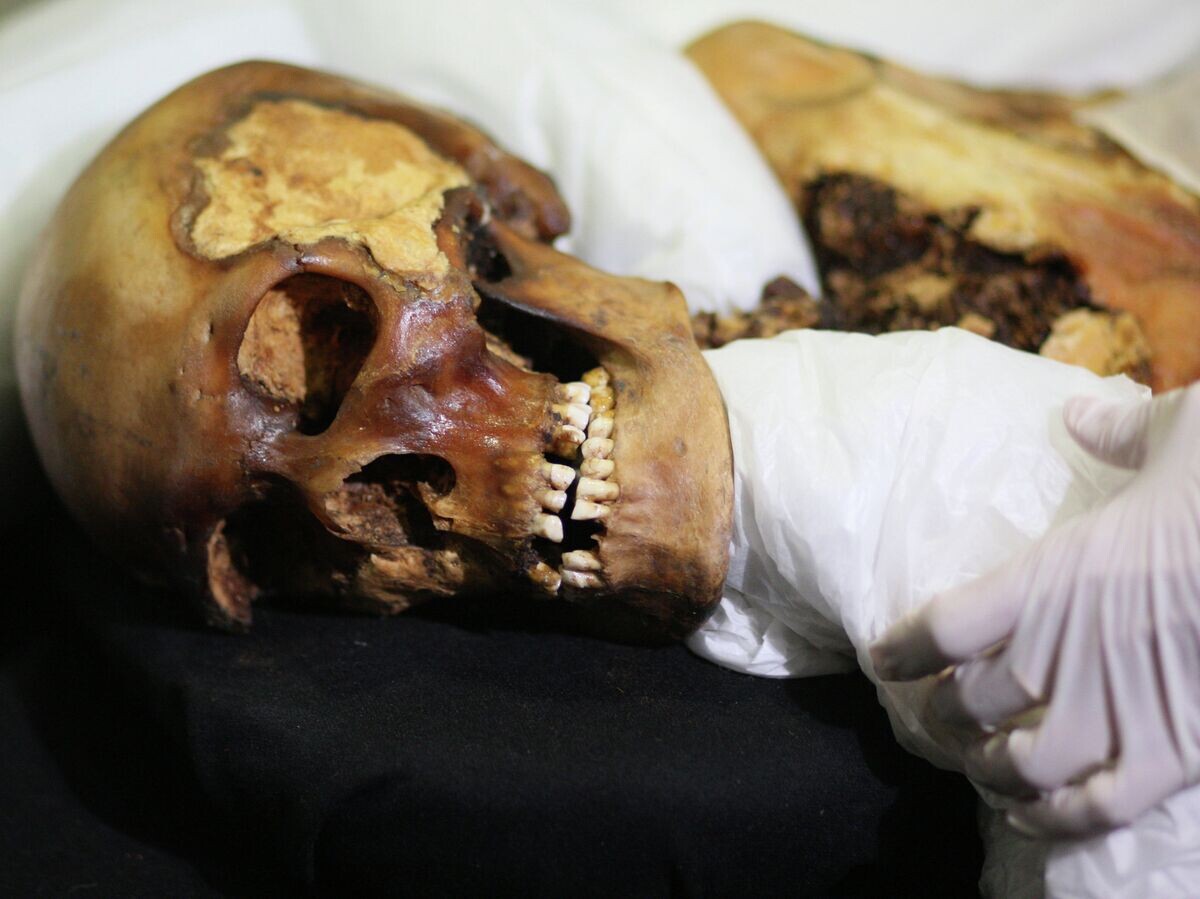    Мумия "Принцессы Укока"© РИА Новости / Александр Кряжев