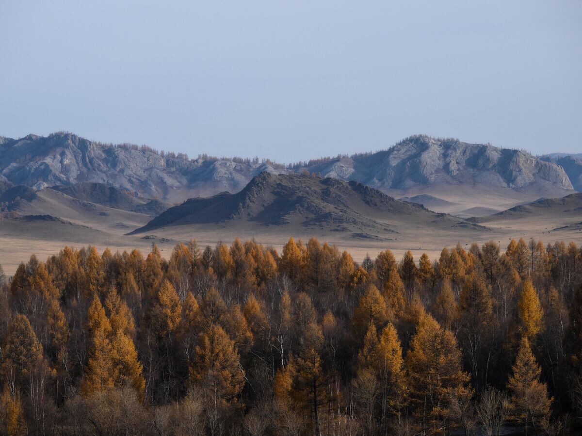    Горы в Республике Алтай© РИА Новости / Александр Кряжев