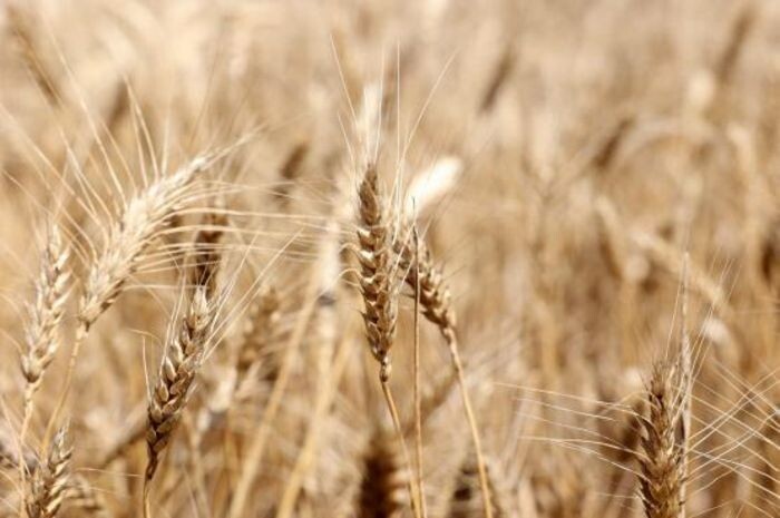 Иллюстрация: donland.ru