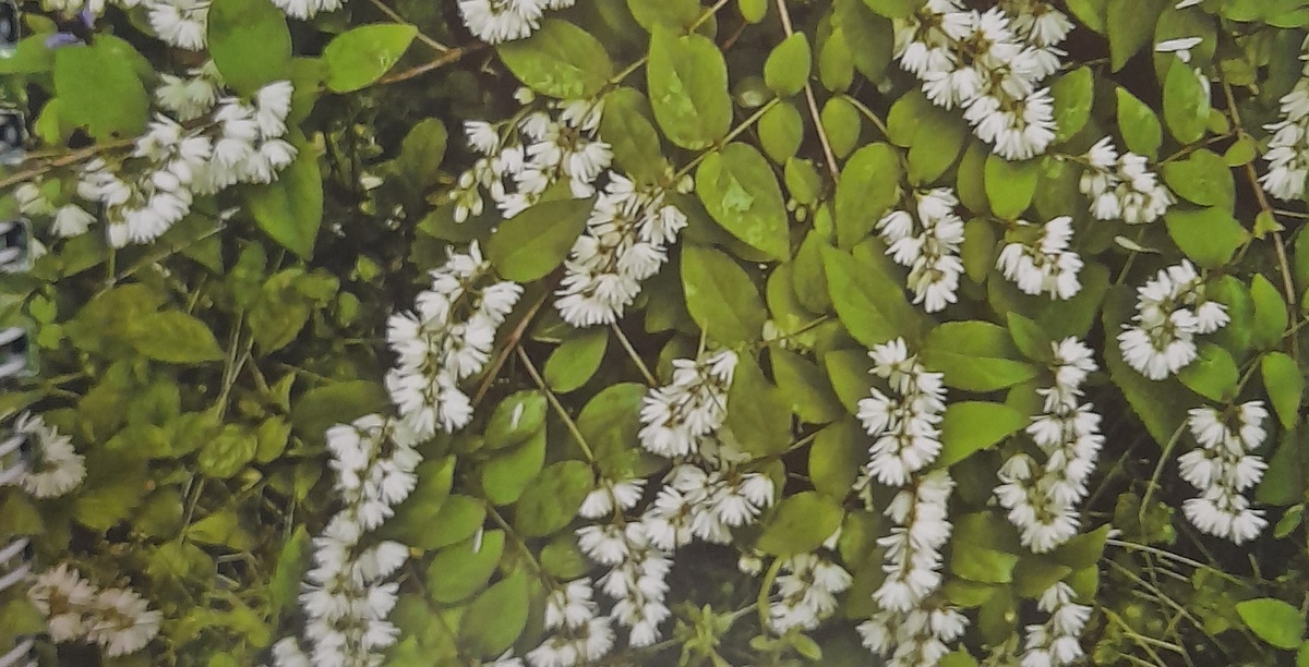 Фото автора канала