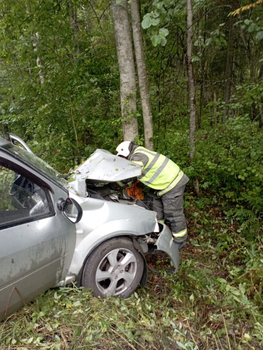    Фото: госкомитет РК по обеспечению жизнедеятельности и безопасности населения/ Телеграм