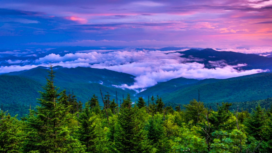 Национальный парк «Великие Дымчатые горы» (Great Smoky Mountains National Park) 