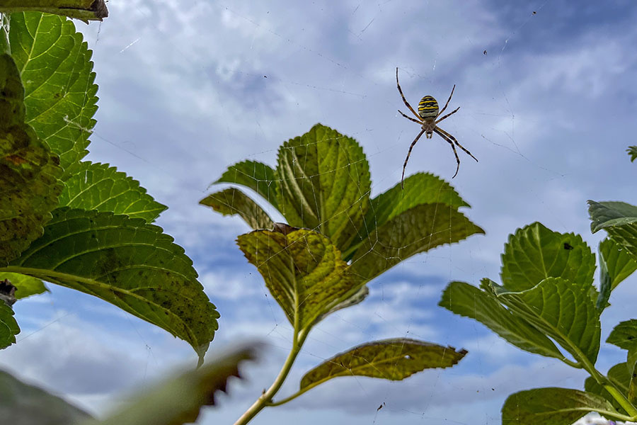    © dpa/picture-alliance/ТАСС
