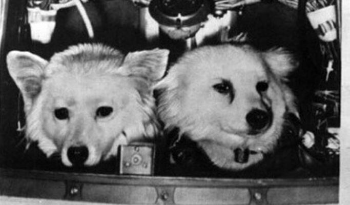 Цыган и Дезик, совершившие в 1951 году первый суборбитальный полет