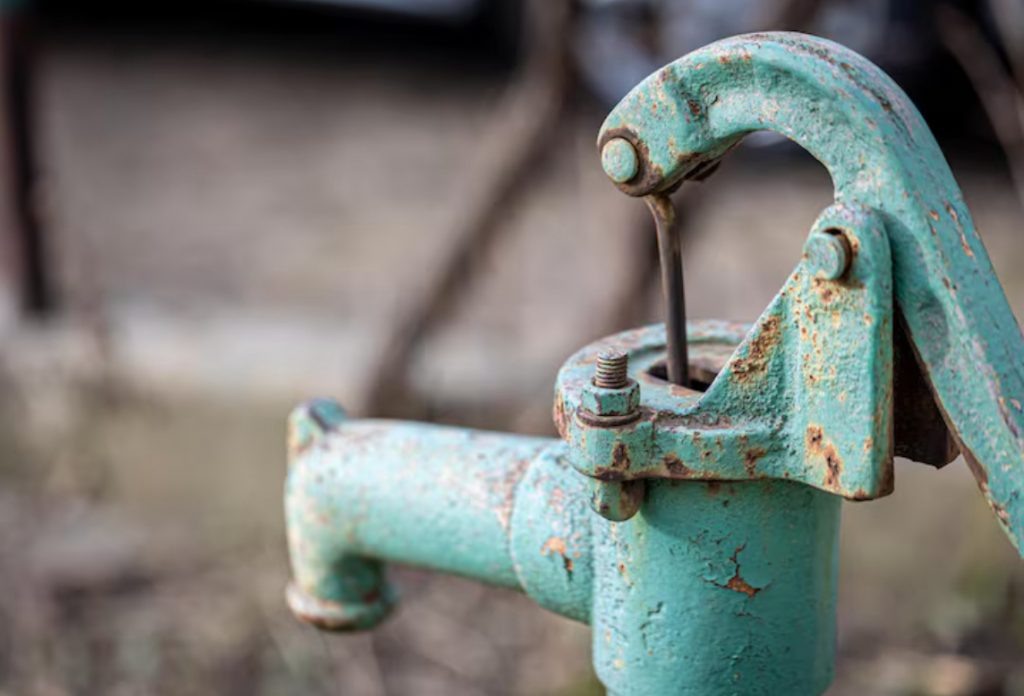    Фото для иллюстрации: freepik.com Редактор