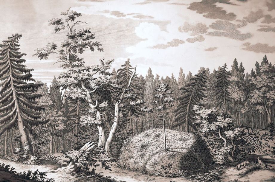 «Гром-камень в Лахтинском лесу». Гравюра Якоба Шлея по рисунку Юрия Фельтена