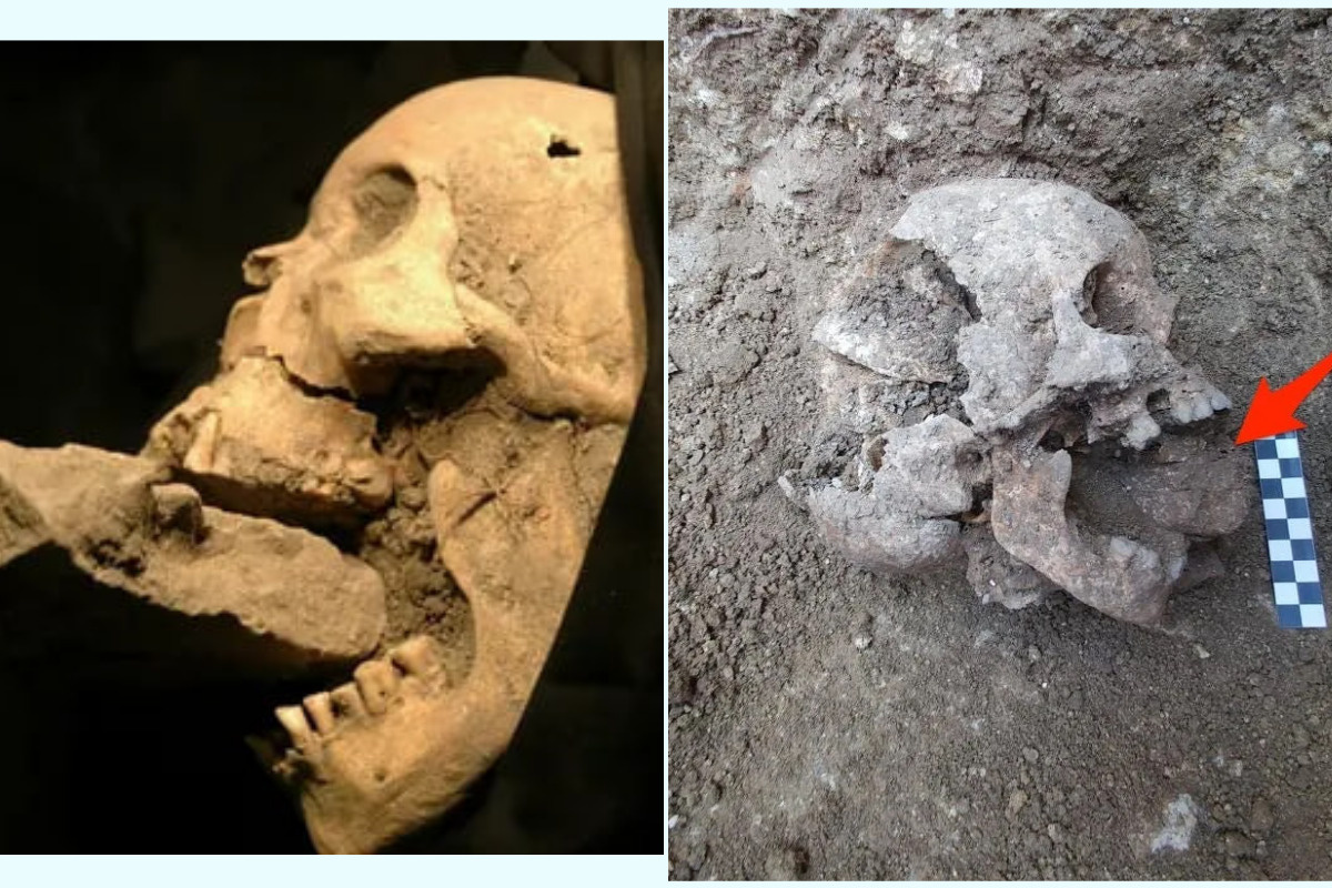    Фото: коллаж RuNews24.ru, источник: youtube.com