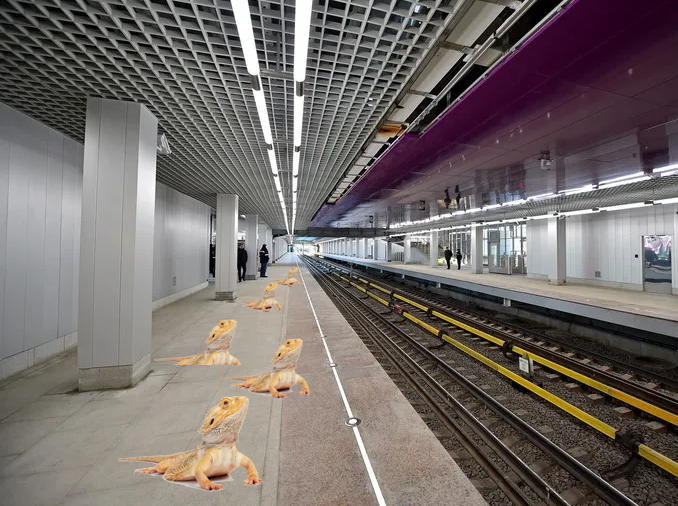 Если бы все видели реальное положение дел